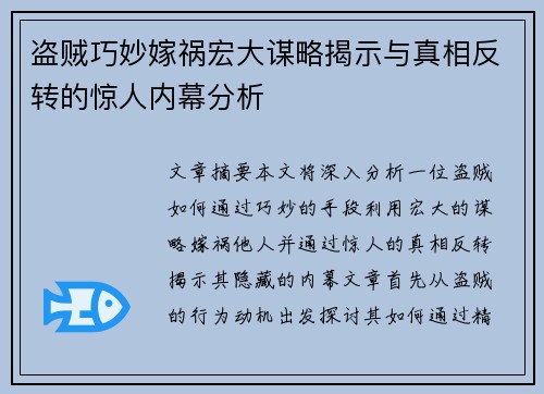 盗贼巧妙嫁祸宏大谋略揭示与真相反转的惊人内幕分析